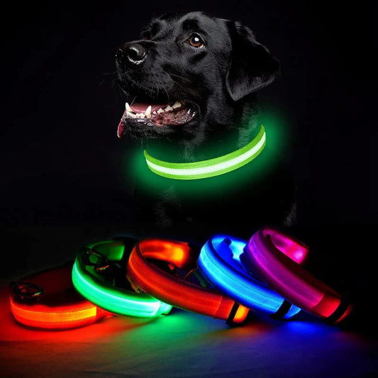 LED DOG ANTI-LOST COLLAR